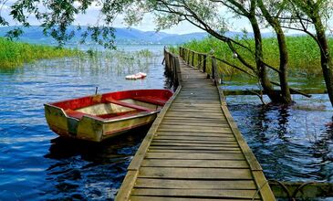 Günübirlik Ormanya & Maşukiye Turu