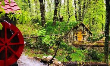 Günübirlik Ormanya & Maşukiye Turu