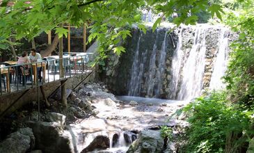 Günübirlik Ormanya & Maşukiye Turu