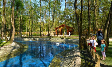 Günübirlik Ormanya & Maşukiye Turu