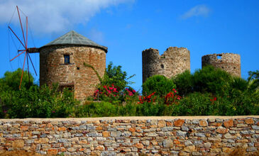 GÜNÜBİRLİK DATÇA BADEM ÇİÇEĞİ FESTİVALİ 