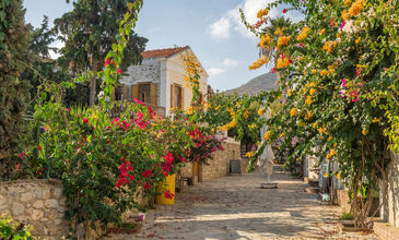 GÜNÜBİRLİK DATÇA BADEM ÇİÇEĞİ FESTİVALİ 