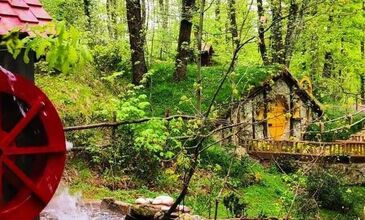 Günübirlik Ormanya & Maşukiye Turu